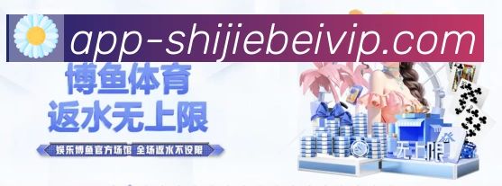 未来规划